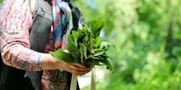 ot yemekleri festivali