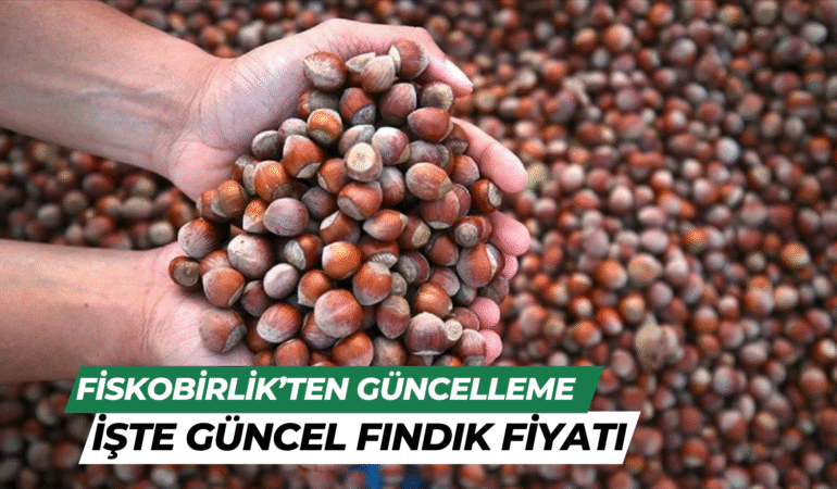 fındık