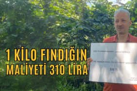 1 kilo