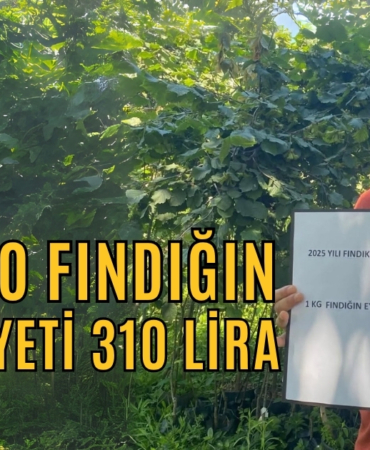 1 kilo