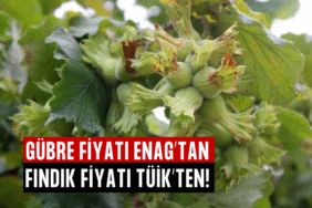 GÜBRE FİYATI ENAG’TAN