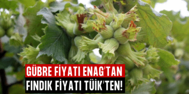 GÜBRE FİYATI ENAG’TAN