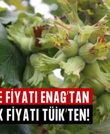 GÜBRE FİYATI ENAG’TAN