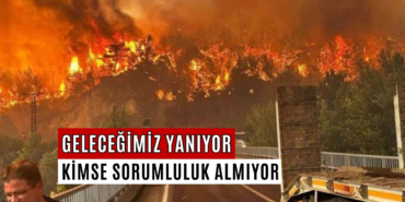 İklim değişikliğiyle birlikte ısı dalgaları artıyor! - 1