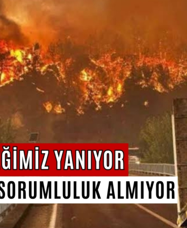 İklim değişikliğiyle birlikte ısı dalgaları artıyor! - 1