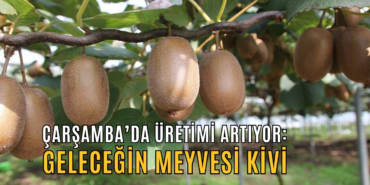 cef05124-46a6-457d-a30e-3e6581bcbe64