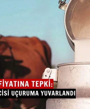 çiğ süt