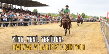 ee2e1035-ff16-4675-a68e-c4c56defd14f