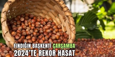 fındık çarşamba