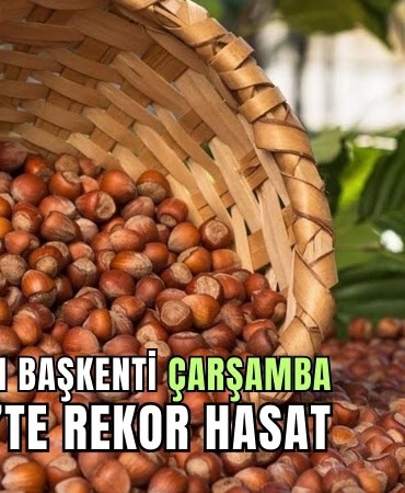 fındık çarşamba