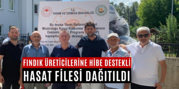fındık file2