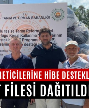 fındık file2