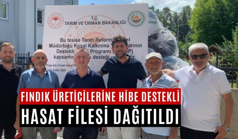 fındık file2