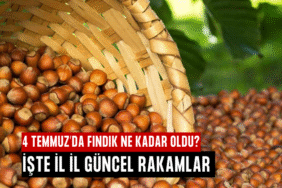 fındık fiyatı