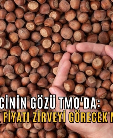 fındık fiyatı