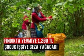 fındık yevmiye