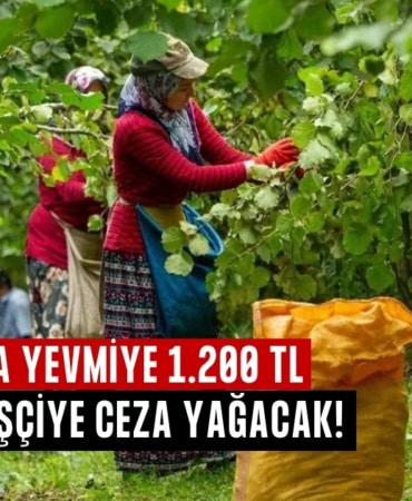 fındık yevmiye