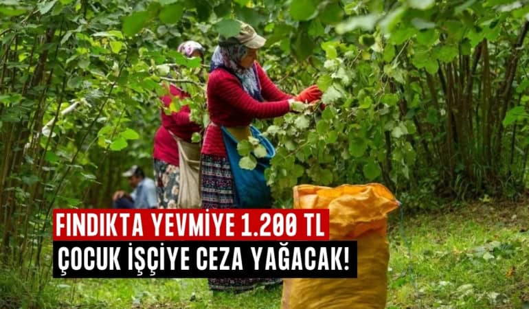 fındık yevmiye