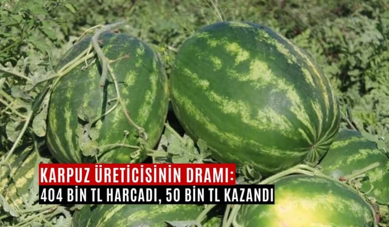 karpuz üreticisinin