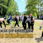 ormanlar çöp