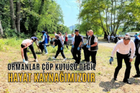 ormanlar çöp
