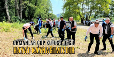 ormanlar çöp