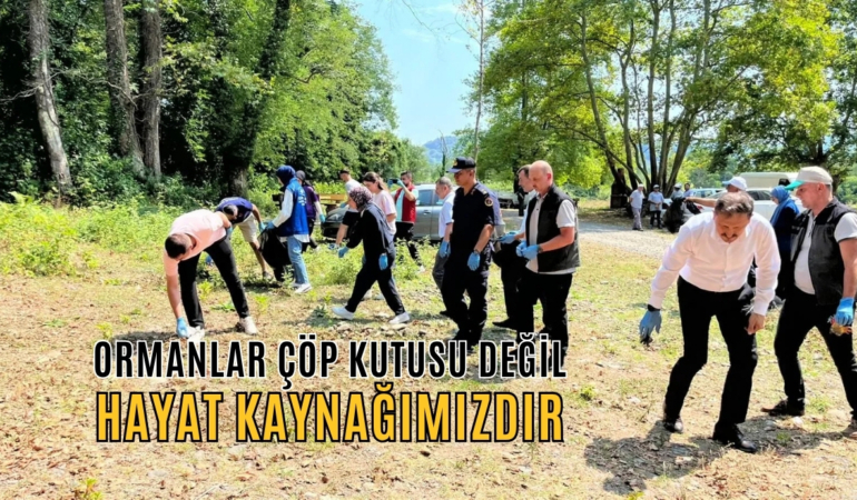 ormanlar çöp