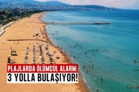 plajlarda ölümcül
