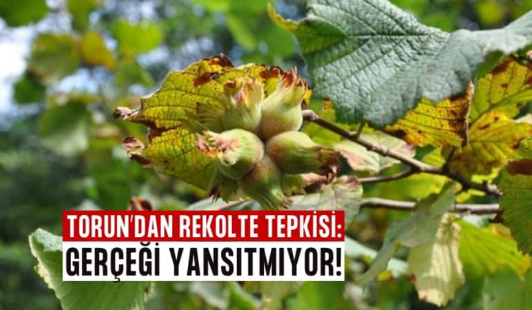 rekolte tepkisi