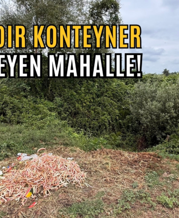 1 yıldır