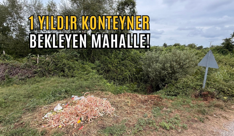 1 yıldır