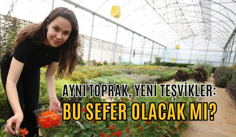 AYNI TOPRAK