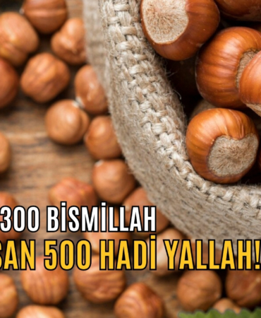 alırsan 300
