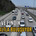 çay ve fındık