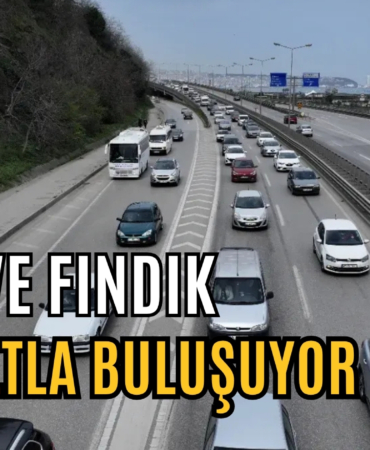 çay ve fındık