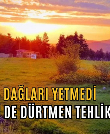 dürtmen