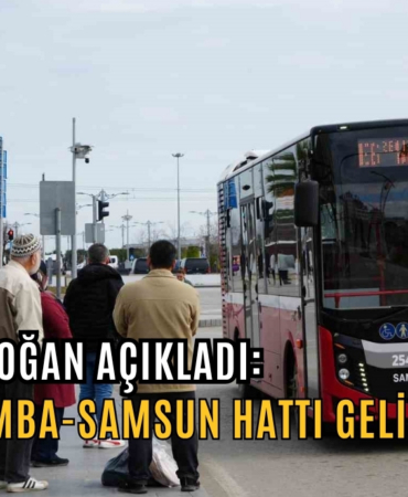 halit doğan