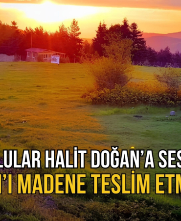 samsunlular halit doğan