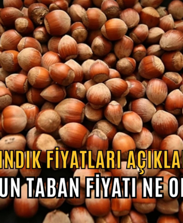 taban fiyat ne olcak