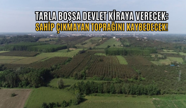 tarla boşsa