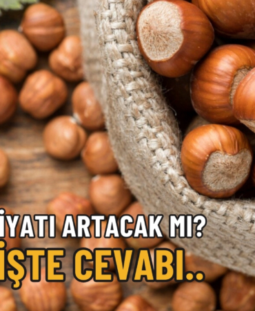 FINDIK