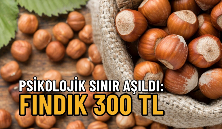 FINDIK 300