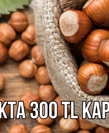 FINDIK
