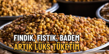 FINDIK