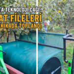 FINDIK FİLE