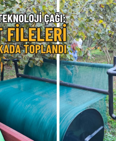 FINDIK FİLE