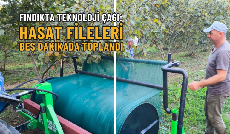 FINDIK FİLE