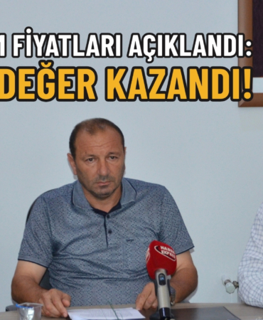 KİVİ