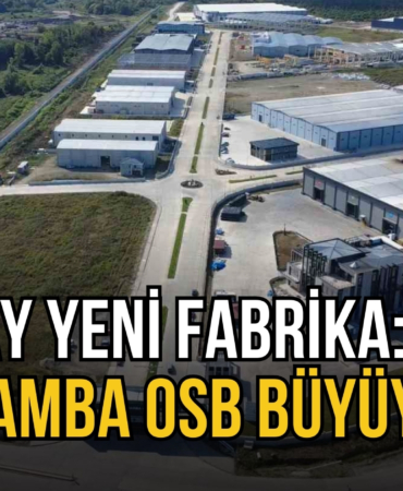 OSB1