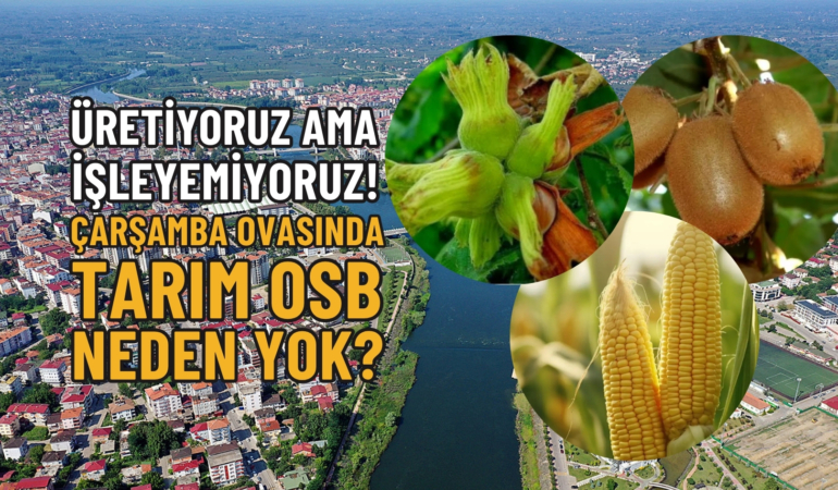 TARIM OSB